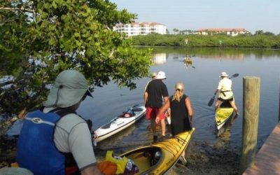 Reclaim Phillippi Creek – Our Best Neighborhood Asset