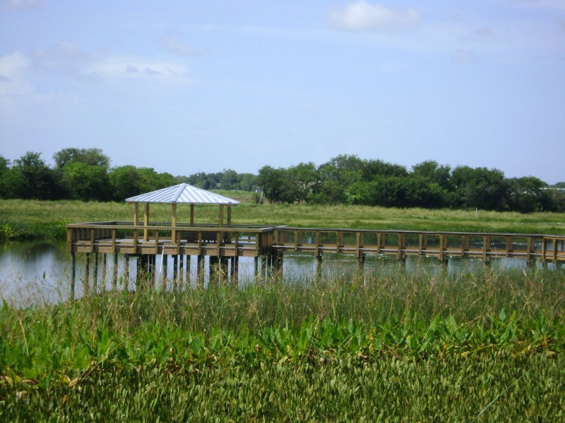 Boardwalk overlooking the wetlands