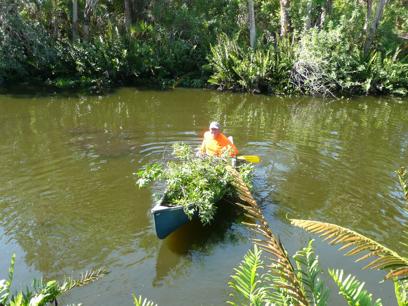 Volunteer in canoe with invasive plants