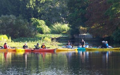 October 28 Paddle Cleanup of Phillippi Creek