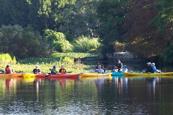 October 28 Paddle Cleanup of Phillippi Creek