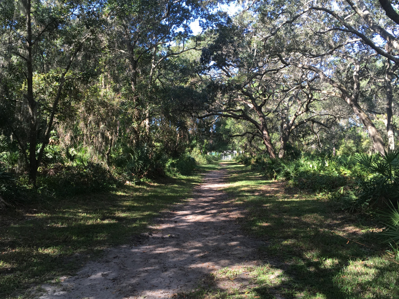 Florida Friendly Foliage