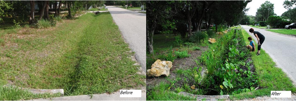 How to Build a Rain Garden or Bioswale