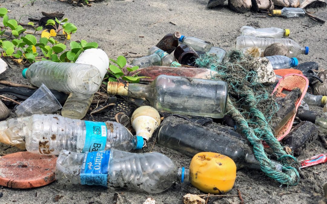Plastic in Phillippi Creek