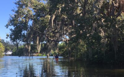 Local Wonders Part II: Paddling Delights