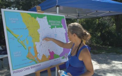 Creek Cleanup 2019