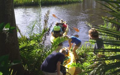 Creek Cleanup 2019