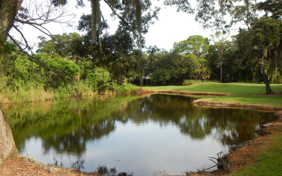 New Bobby Jones Park Space Approved in Phillippi Creek Watershed