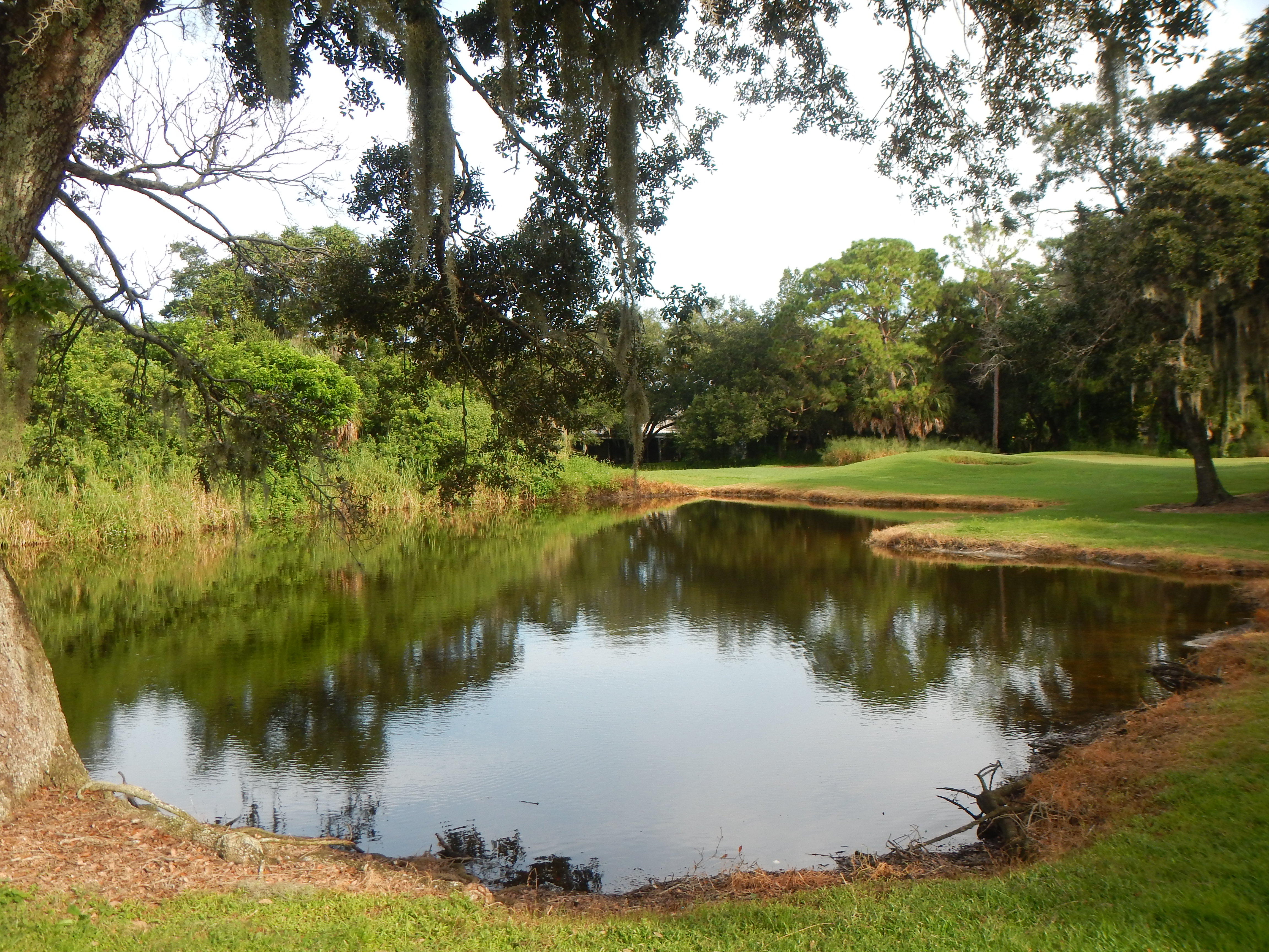 Revamped Bob Jones Golf Club and Nature Park to help keep Sarasota