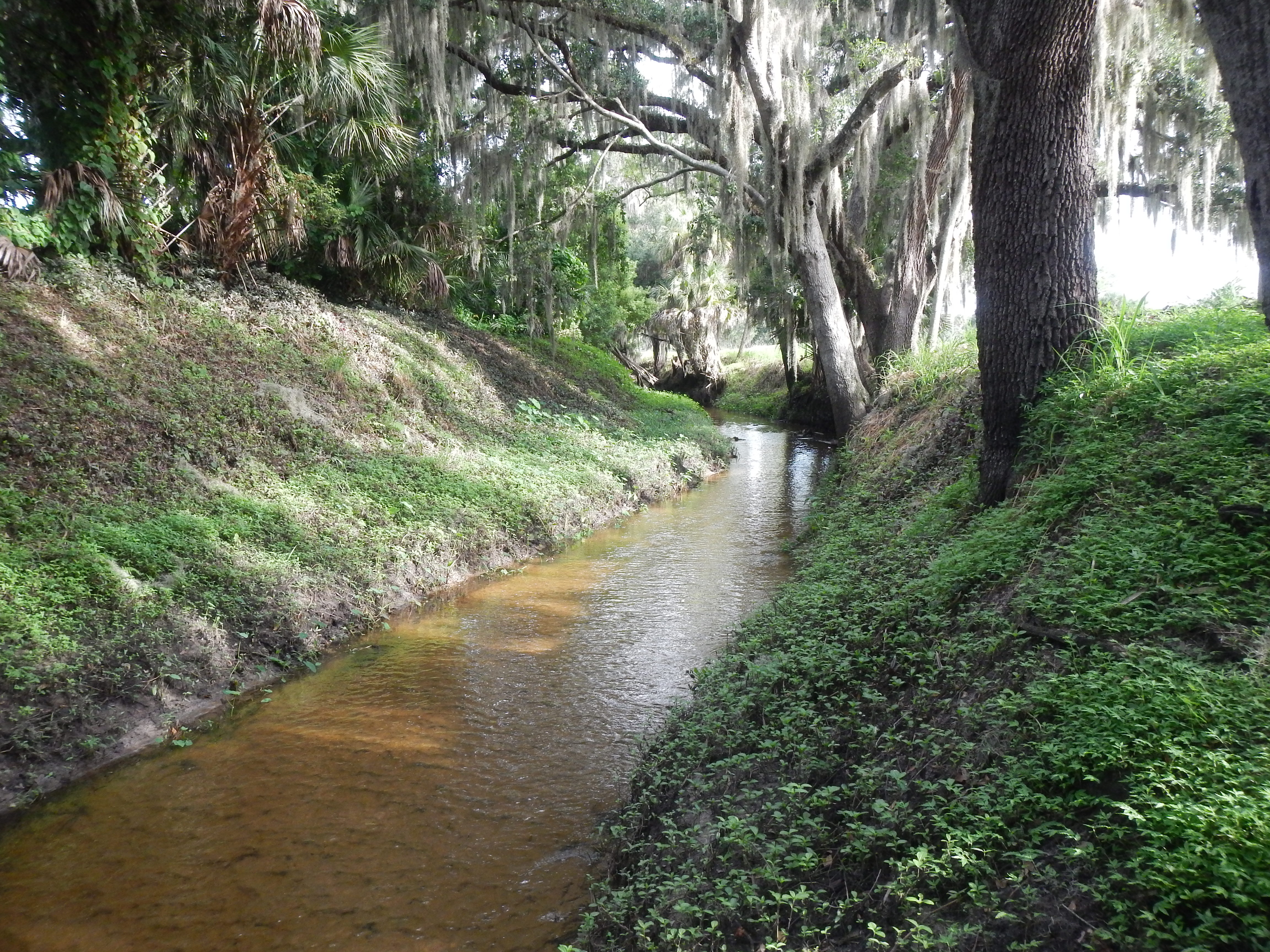 Phillippi Creek Canal
