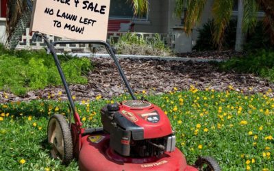 Stop Mowing, Start Living