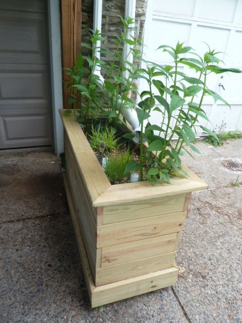 planter box 